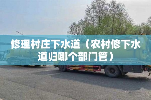 修理村庄下水道（农村修下水道归哪个部门管）