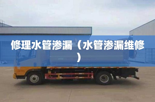 修理水管渗漏（水管渗漏维修）