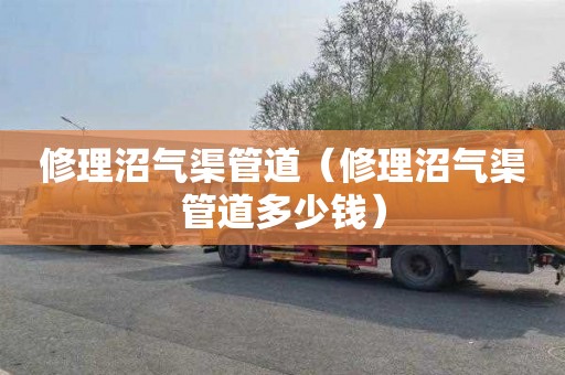 修理沼气渠管道（修理沼气渠管道多少钱）