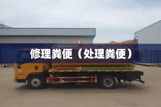 修理粪便（处理粪便）