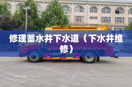 修理蓄水井下水道（下水井维修）