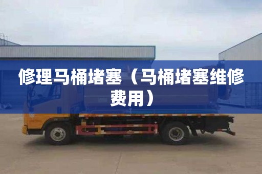 修理马桶堵塞（马桶堵塞维修费用）