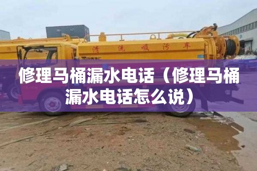 修理马桶漏水电话（修理马桶漏水电话怎么说）