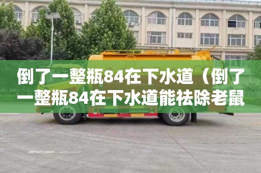 倒了一整瓶84在下水道（倒了一整瓶84在下水道能祛除老鼠吗）