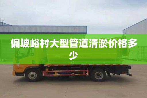 偏坡峪村大型管道清淤价格多少