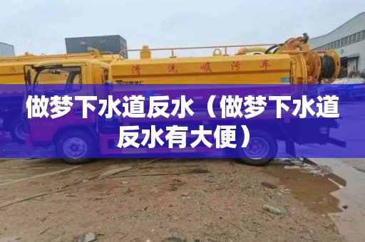 做梦下水道反水（做梦下水道反水有大便）
