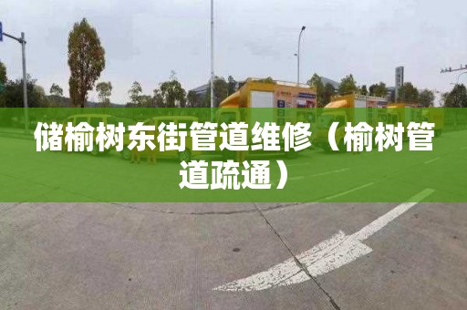 储榆树东街管道维修（榆树管道疏通）