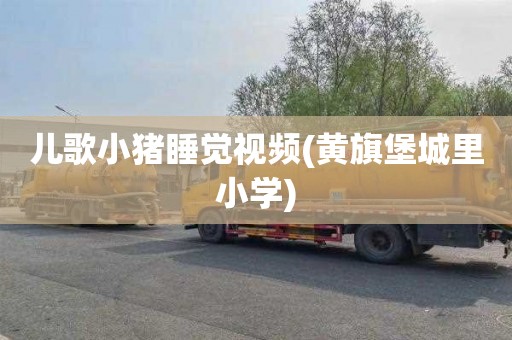 儿歌小猪睡觉视频(黄旗堡城里小学)