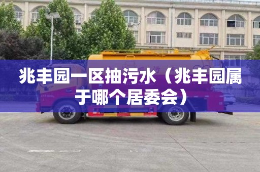 兆丰园一区抽污水（兆丰园属于哪个居委会）