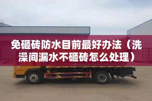 免砸砖防水目前最好办法（洗澡间漏水不砸砖怎么处理）