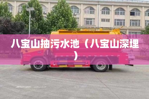 八宝山抽污水池（八宝山深埋）