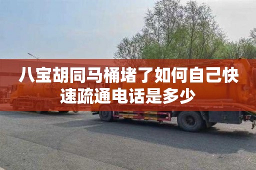八宝胡同马桶堵了如何自己快速疏通电话是多少