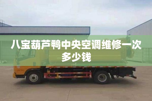 八宝葫芦鸭中央空调维修一次多少钱
