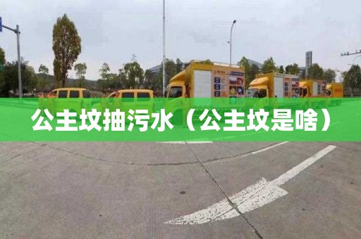公主坟抽污水（公主坟是啥）