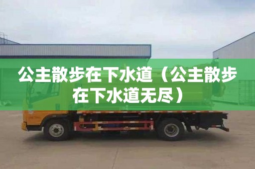 公主散步在下水道（公主散步在下水道无尽）