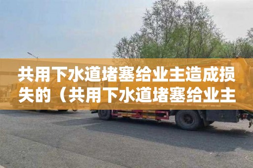 共用下水道堵塞给业主造成损失的（共用下水道堵塞给业主造成损失的赔偿）