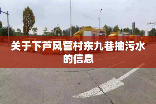 关于下芦风营村东九巷抽污水的信息