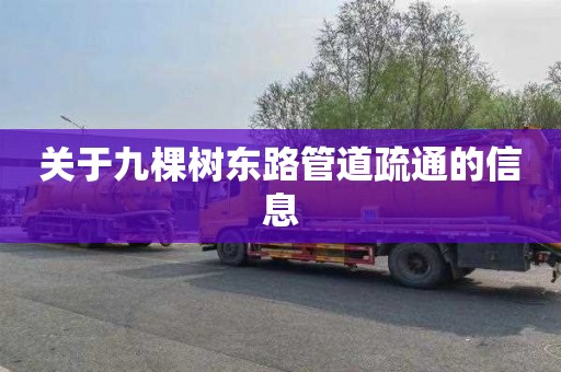 关于九棵树东路管道疏通的信息