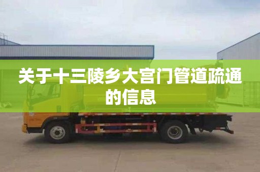 关于十三陵乡大宫门管道疏通的信息
