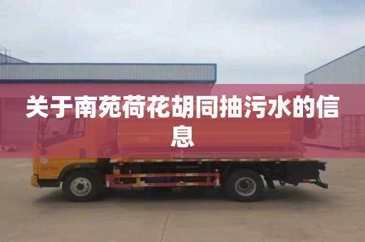 关于南苑荷花胡同抽污水的信息