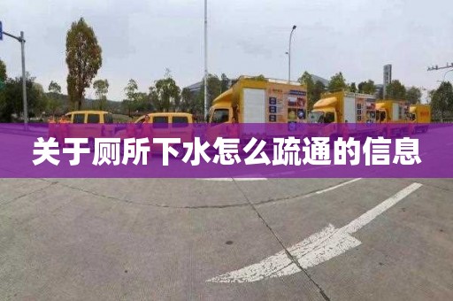 关于厕所下水怎么疏通的信息