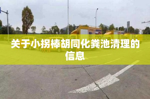 关于小拐棒胡同化粪池清理的信息