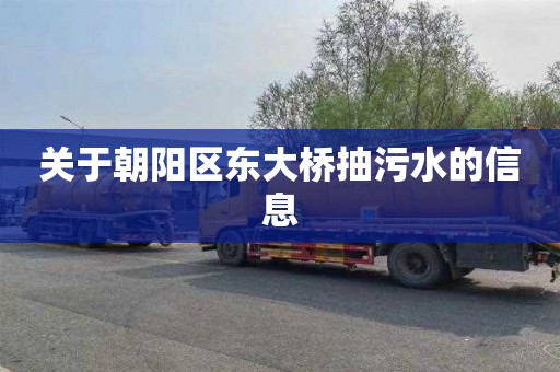 关于朝阳区东大桥抽污水的信息