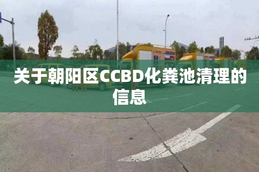 关于朝阳区CCBD化粪池清理的信息