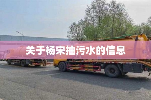 关于杨宋抽污水的信息