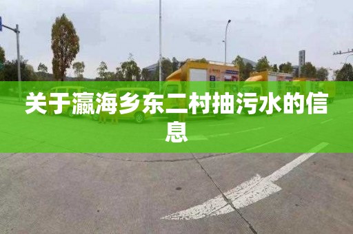 关于瀛海乡东二村抽污水的信息