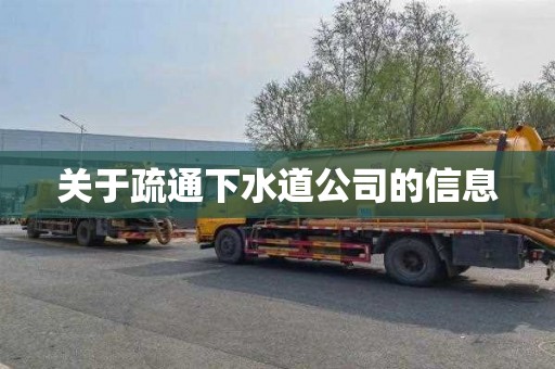 关于疏通下水道公司的信息
