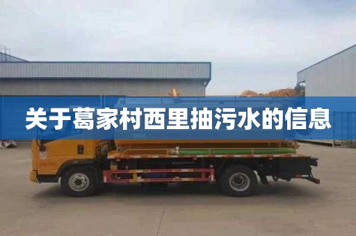 关于葛家村西里抽污水的信息