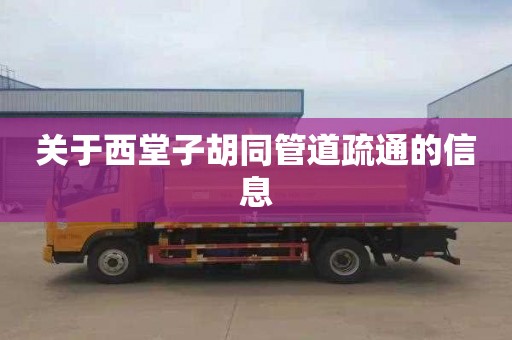 关于西堂子胡同管道疏通的信息