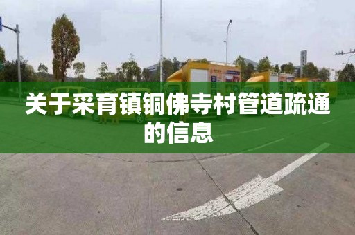 关于采育镇铜佛寺村管道疏通的信息
