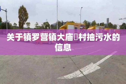 关于镇罗营镇大庙硲村抽污水的信息