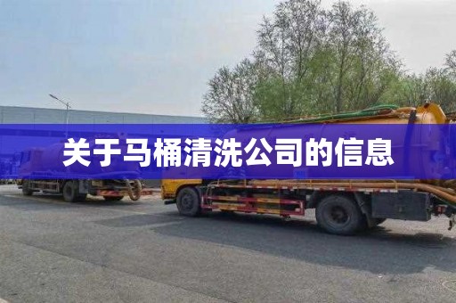 关于马桶清洗公司的信息