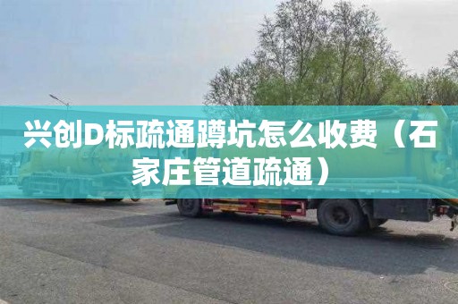 兴创D标疏通蹲坑怎么收费（石家庄管道疏通）
