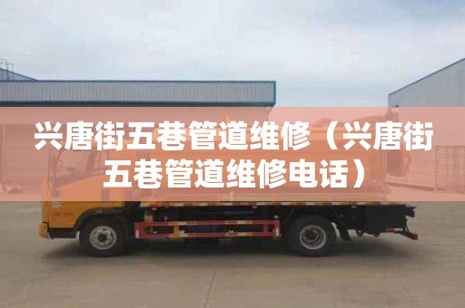 兴唐街五巷管道维修（兴唐街五巷管道维修电话）