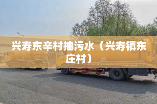 兴寿东辛村抽污水（兴寿镇东庄村）