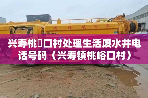 兴寿桃硲口村处理生活废水井电话号码（兴寿镇桃峪口村）