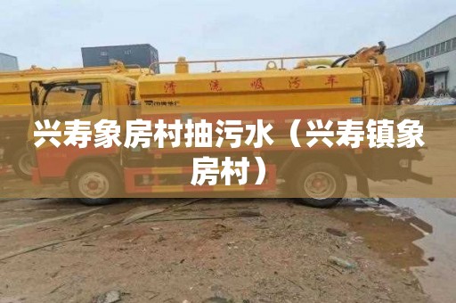 兴寿象房村抽污水（兴寿镇象房村）