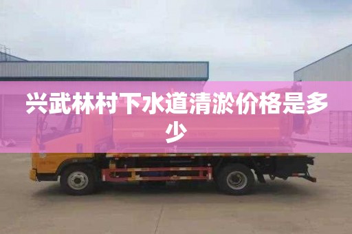 兴武林村下水道清淤价格是多少