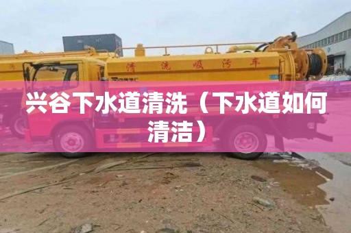 兴谷下水道清洗（下水道如何清洁）