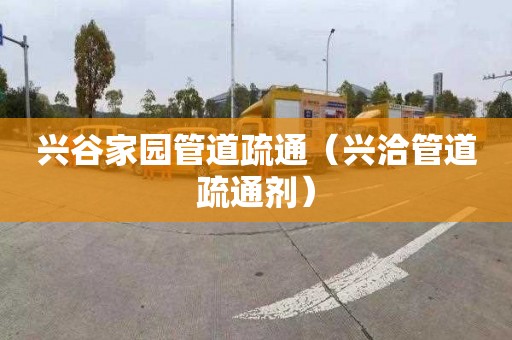 兴谷家园管道疏通（兴洽管道疏通剂）
