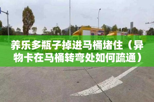 养乐多瓶子掉进马桶堵住（异物卡在马桶转弯处如何疏通）