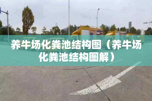 养牛场化粪池结构图（养牛场化粪池结构图解）