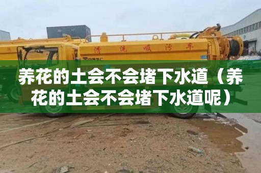 养花的土会不会堵下水道（养花的土会不会堵下水道呢）