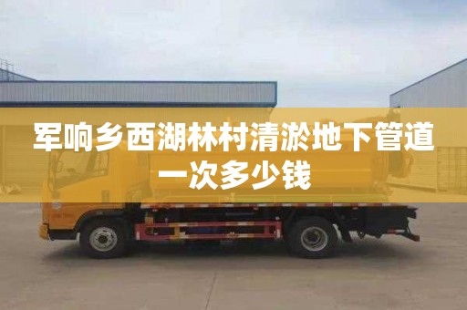 军响乡西湖林村清淤地下管道一次多少钱