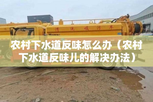 农村下水道反味怎么办（农村下水道反味儿的解决办法）