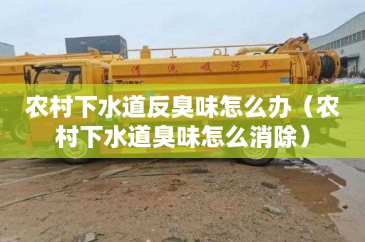 农村下水道反臭味怎么办（农村下水道臭味怎么消除）